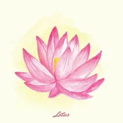 pink lotus