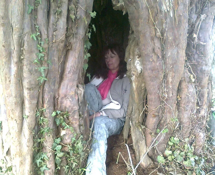 Shamanic counselling&nbsp;